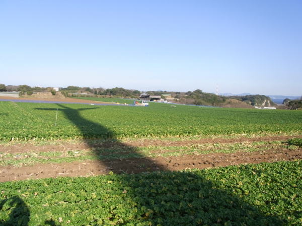 e0153367_13161541.jpg