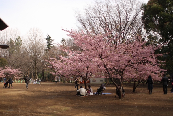 b0069169_17455737.jpg