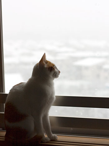 a0119470_13475099.jpg