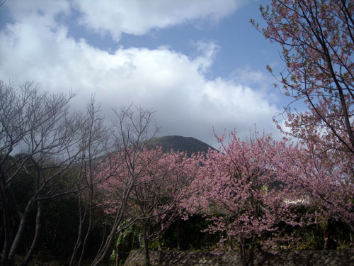 e0097770_23414812.jpg