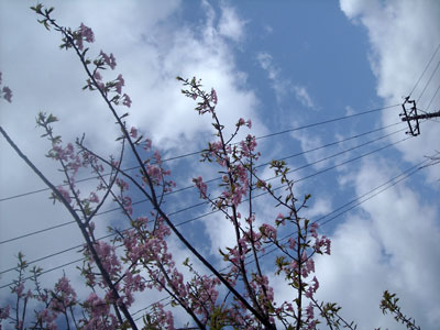 e0097770_23424627.jpg