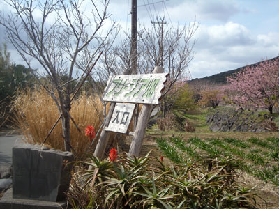 e0097770_23433022.jpg