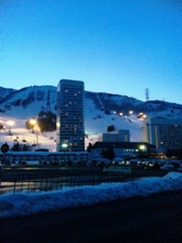c0102375_1584239.jpg