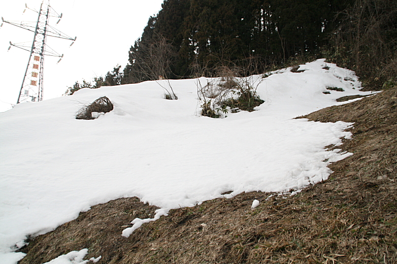 c0112479_23122556.jpg