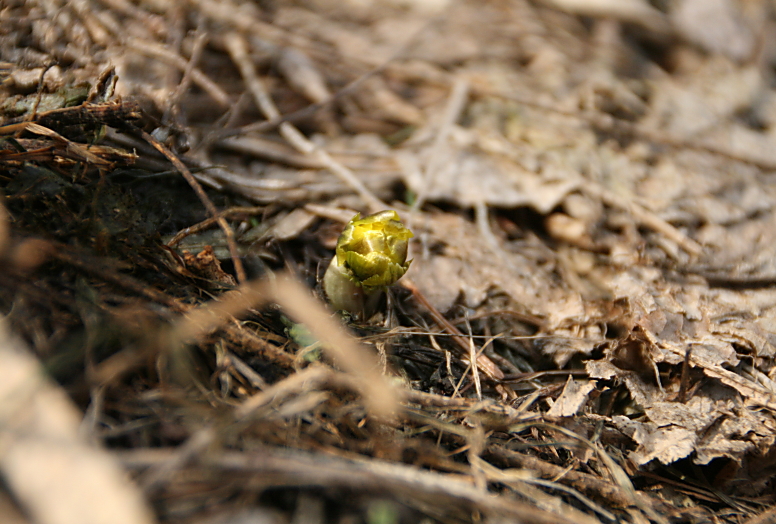 c0112479_2312299.jpg