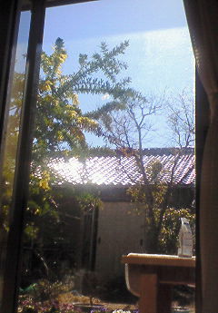 f0215179_1412331.jpg