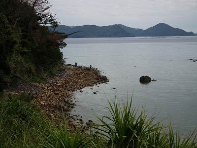 e0028387_0102526.jpg