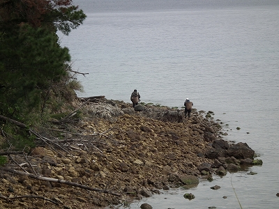 e0028387_0104418.jpg