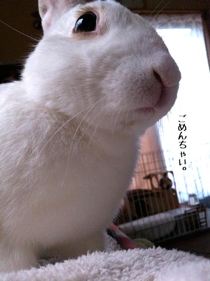 f0201191_1382067.jpg