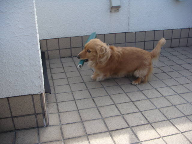 d0098295_23512210.jpg