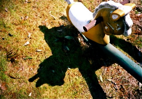 a0199297_11211591.jpg