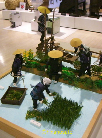 e0013399_16353880.jpg