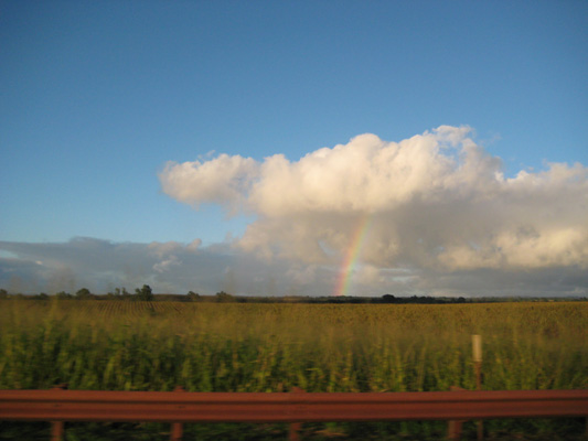 b0097200_1103153.jpg