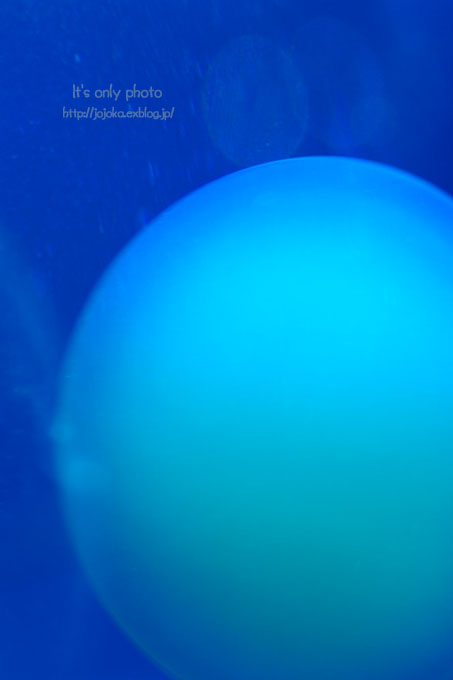 e0008800_13485347.jpg