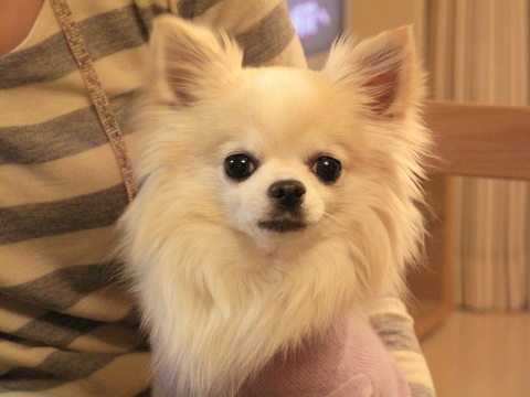 a0079803_21535635.jpg