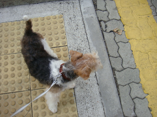 d0200406_1014286.jpg
