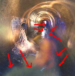 e0103408_16271338.jpg