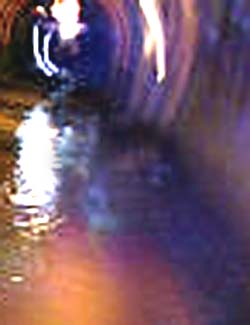 e0103408_1681381.jpg