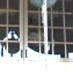e0103408_21472755.jpg