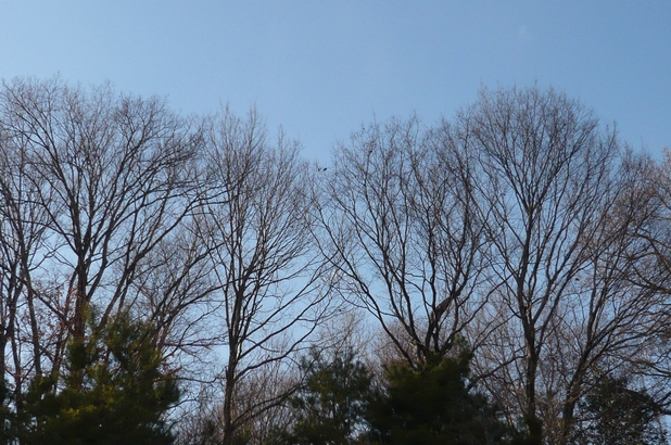 f0221708_153691.jpg