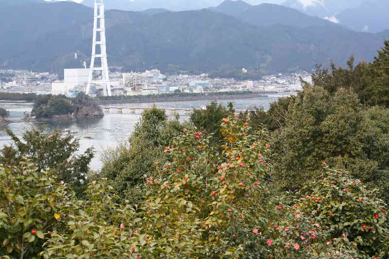 d0154609_8345238.jpg