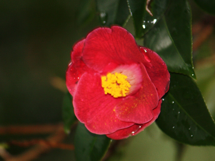 d0154609_8374624.jpg