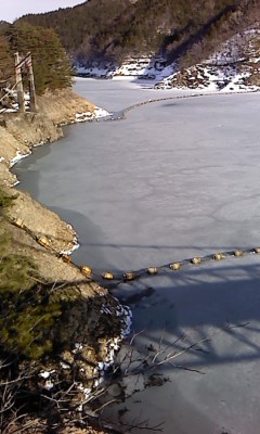 b0176211_1729193.jpg