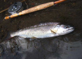f0079411_17544757.jpg