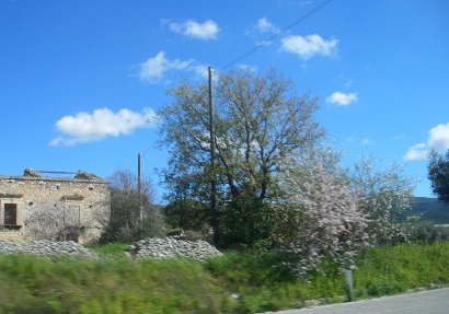 f0133814_18474741.jpg