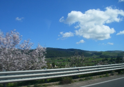 f0133814_1848034.jpg