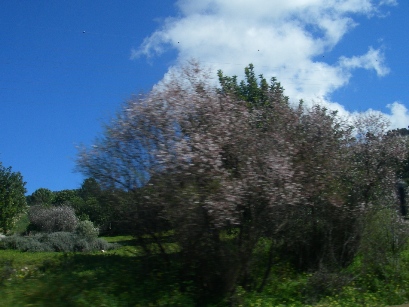f0133814_18482727.jpg