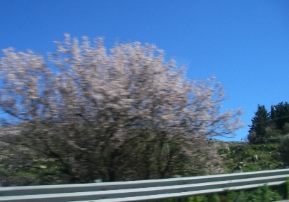 f0133814_18493778.jpg