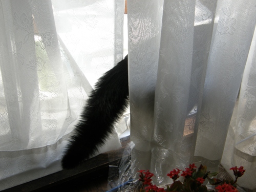 c0158916_22583651.jpg