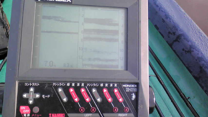 d0163916_1242430.jpg