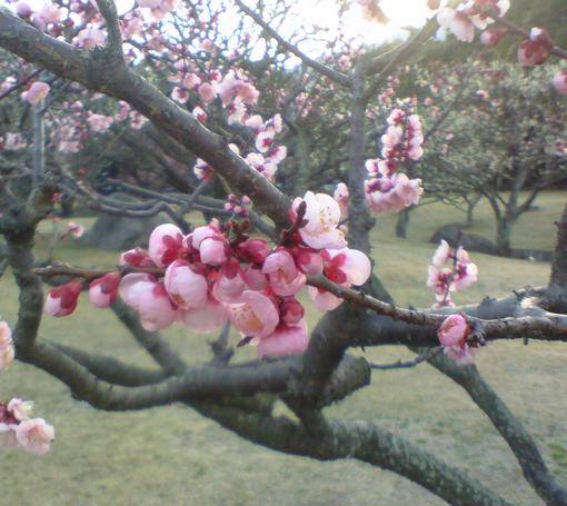 c0097620_22552682.jpg
