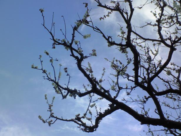 c0097620_22554989.jpg