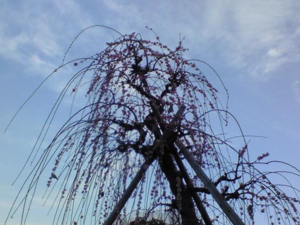 c0097620_225691.jpg