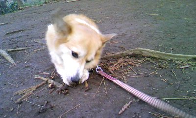 c0150520_2257468.jpg