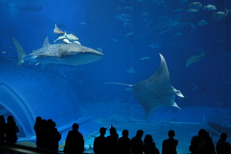 f0097620_0244657.jpg