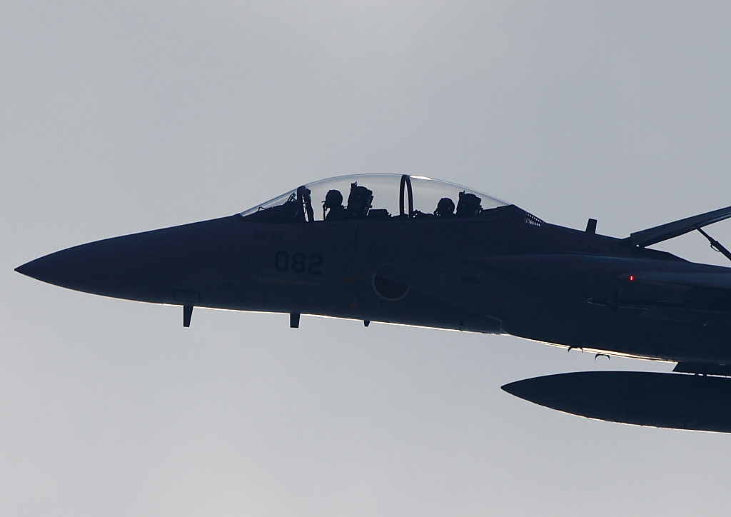 d0193838_22433267.jpg