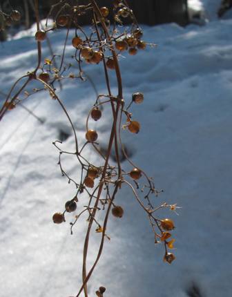c0204740_1949492.jpg