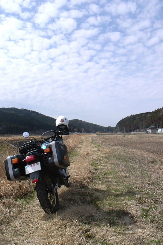 a0130641_1431266.jpg