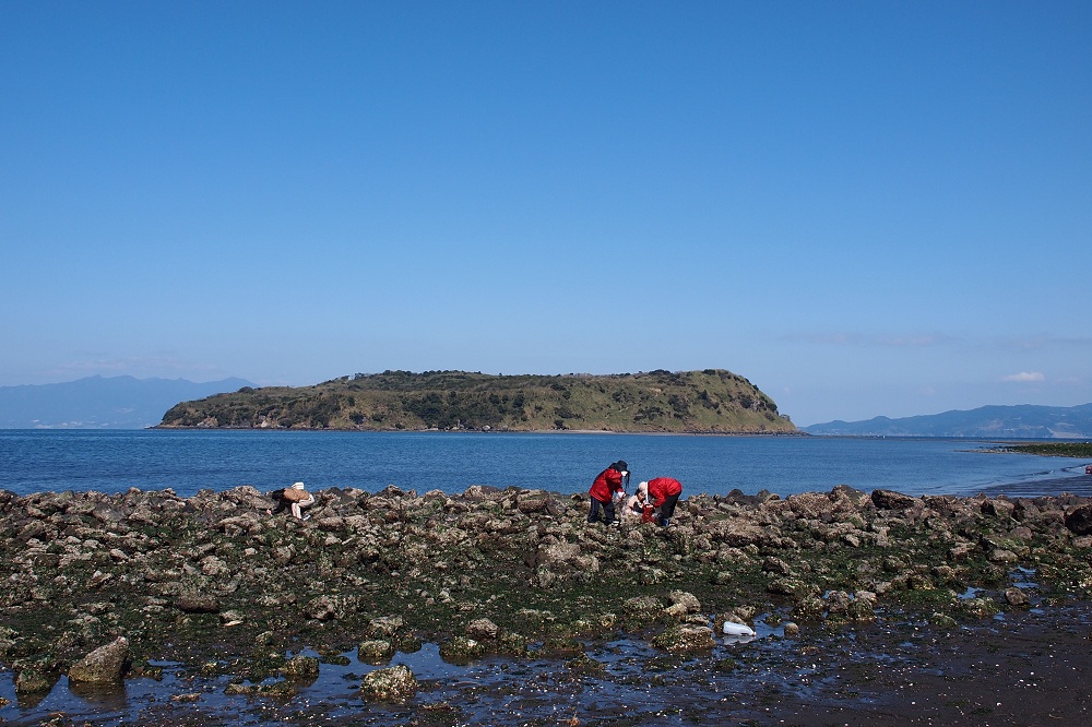 a0146442_892169.jpg