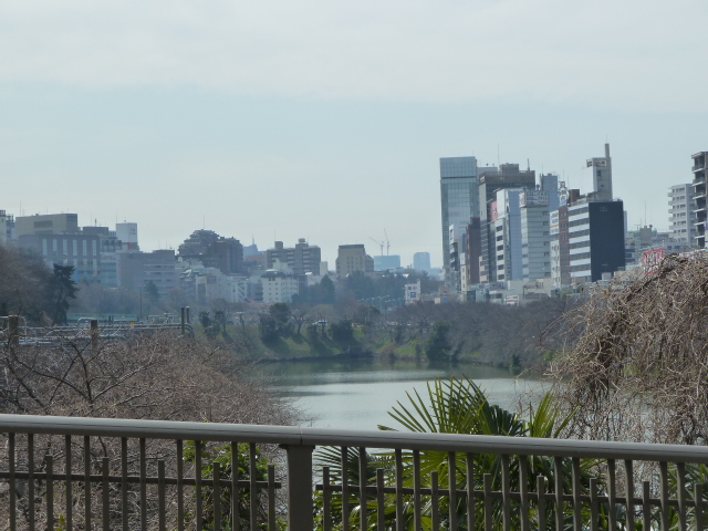 b0190242_20151479.jpg