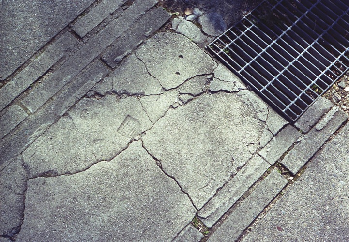 d0089742_0502982.jpg