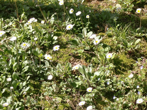c0206352_634810.jpg