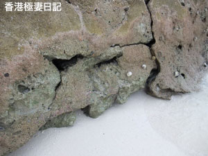 f0190653_15315229.jpg