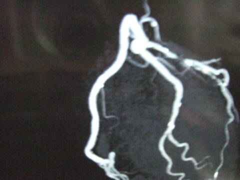 e0009760_10474118.jpg
