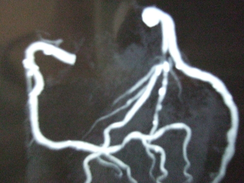 e0009760_10483195.jpg