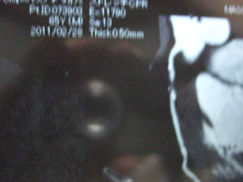 e0009760_10492120.jpg